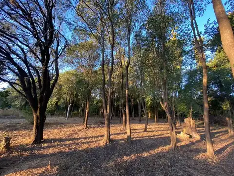 Lote con cimimientos en venta Pìedra Blanca Merlo San Luis