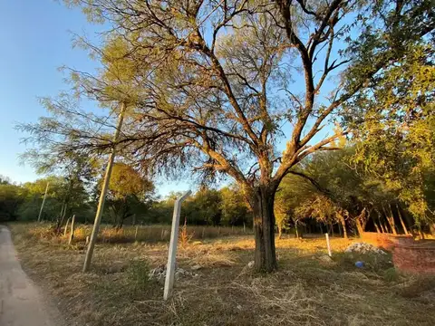 Terreno en Venta en Algarrobo Abuelo, USD 28.000