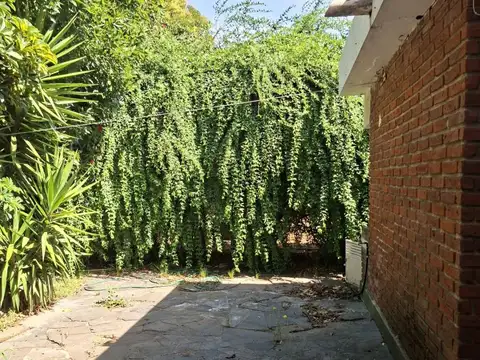 Real de Azua 100