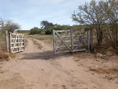Campo en Venta de 1.800  ha