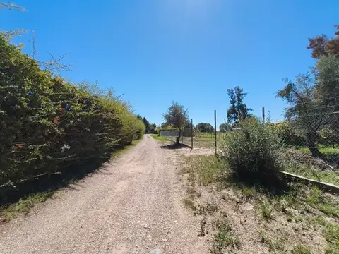 Las Palmas S/N 100