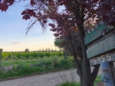 Venta de lote Vistalba, Lujan de Cuyo