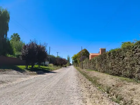 Las Palmas S/N 100