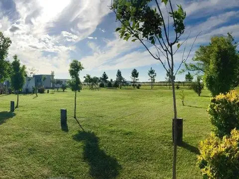Terreno en venta - 1500mts2 - Campos de La Enriqueta, La Plata