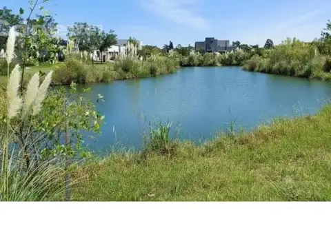 Terreno en Venta 16  mts Frente