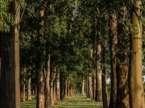 Terreno en Venta de 2284,0 m2