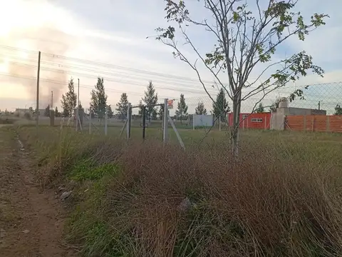 Terreno en Maximo Paz