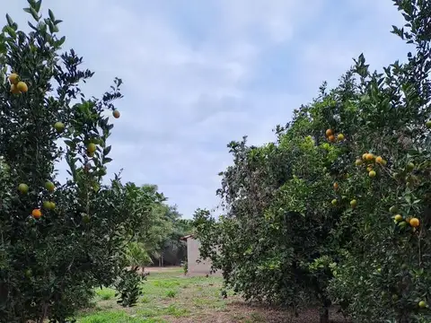 Terreno en Venta de 5000,0 m2