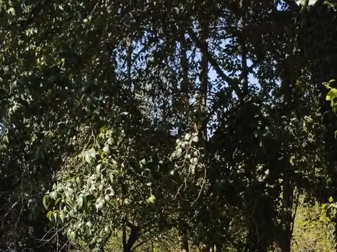 Ruta Nacional 38 100