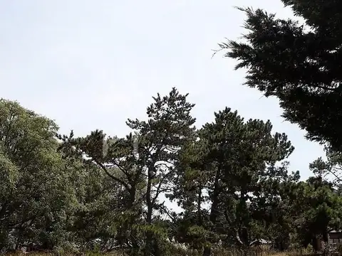 Terreno Lote  en Venta en Costa Del Este, Costa Atlántica, Buenos Aires