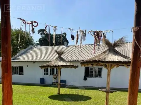 SDA. Venta Local comercial. Jose Hernandez al 800, Parque Sakura, Exaltacion de la Cruz