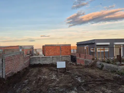 CISTARI ARMANDO 1100