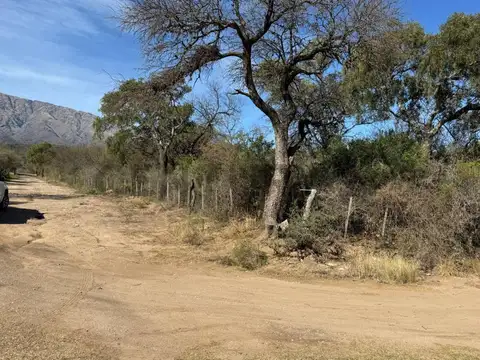 Campo en Venta de 38  ha