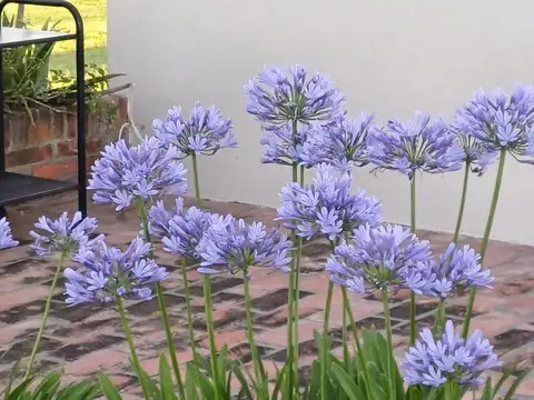 San Antonio de Areco