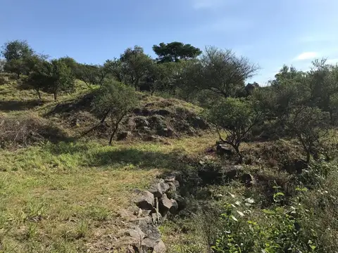 VENTA FRACCION PARQUE SIQUIMAN CON BAJADA AL RIO
