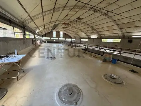 Finca y Bodega en venta en Rivadavia