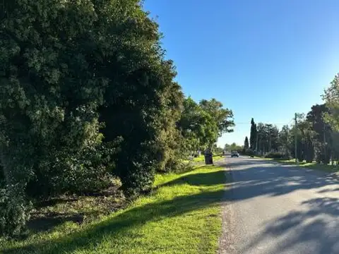 Venta de campo en Ibarlucea ideal para desarrollo inmobiliario - 5 hectáreas sobre calle Schill...