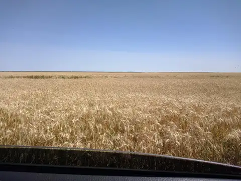 Campo en Banderas, Santiago del Estero 1.513 hectáreas