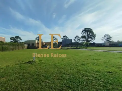 El Ensueño 100
