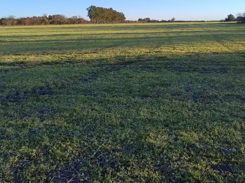 Campo en Venta Granja