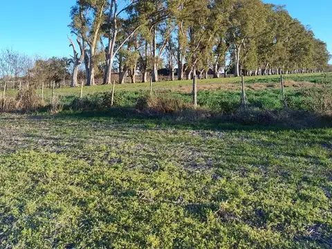 Campo en Venta de 21,46  ha