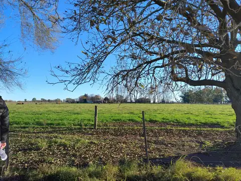 Ruta 8 Km 133