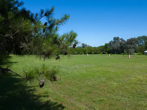 Terreno en Venta de 900,0 m2