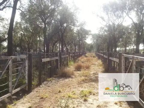 PROPIEDADES RURALES - CHACRA - CRUZ DEL EJE