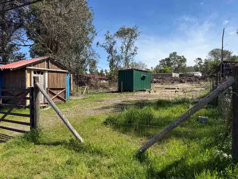 Ruta interbalnearia 100
