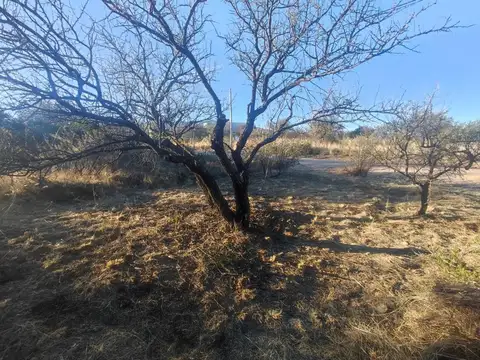 Ayres De Larca