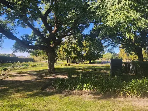 boulevard de todos los santos 900
