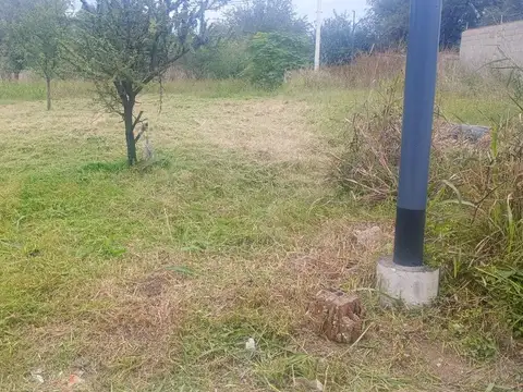 Carlos Ibarguren, Mercantil, Córdoba