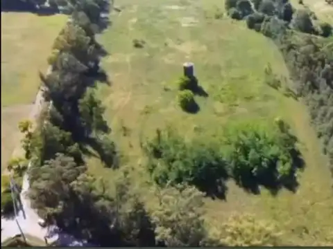 Terreno - Arturo Segui