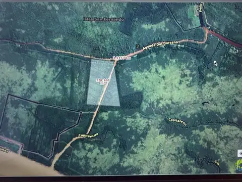 Islas Delta del Parana