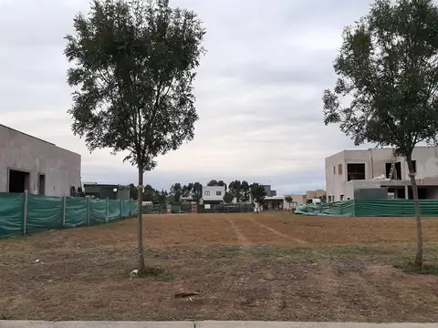 Mariano Acosta 3098