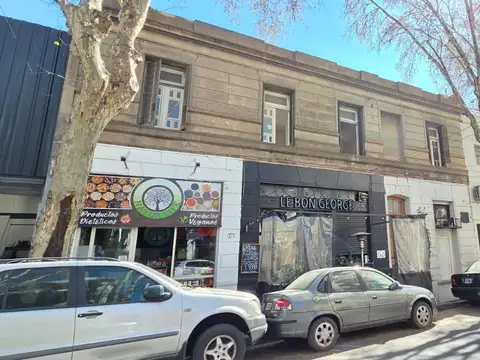 Bonpland 1500