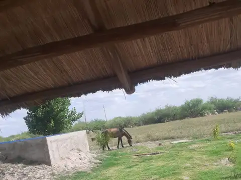 VENTA FINCA CON PISCINA LA DORMIDA STA. ROSA MZA