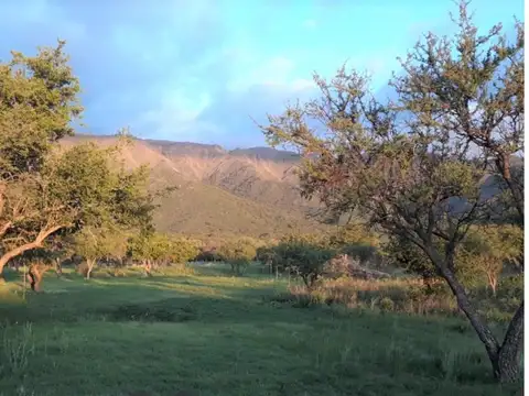 Terreno en Venta de 2863,0 m2