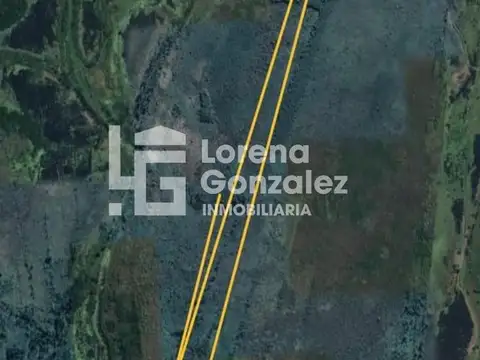 Campo en Entre Rìos 15 Hectáreas