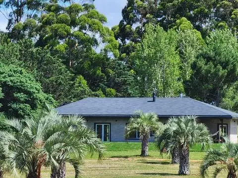 Quinta - ALQUILER_TEMPORAL - Uruguay, PUNTA BALLENA