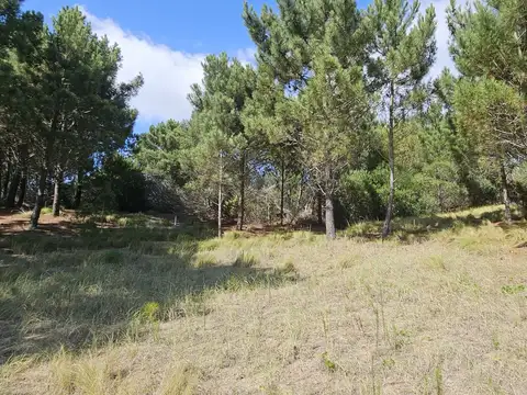 VENTA LOTE GOLF I COSTA ESMERALDA