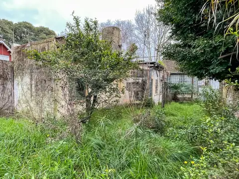 Terreno en Venta en Martínez Vías / Libertador, USD 338.000