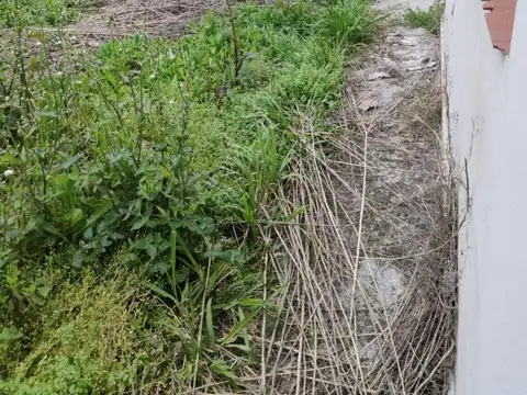 Galpón con casa al contrafrente y departamento en PA