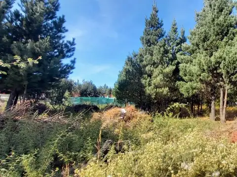 Terreno en Venta en Epuyen, USD 25.000