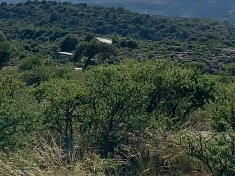 Terreno en Venta en Arroyo de los Patos, USD 250.000