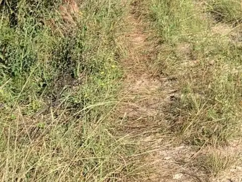 Terreno en venta - 5.000Mts2 - Córdoba