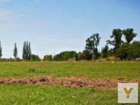 Terreno en venta - 1.035Mts2 - Junín