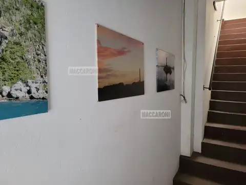 Depto Tipo Casa en Alquiler de Monoambiente