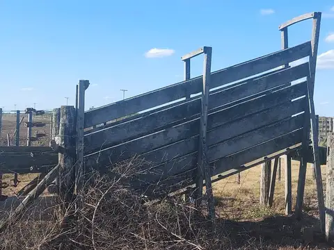 Campo en  General Viamonte - Cordoba