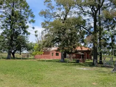 Campo agrícola en Sauce de Luna